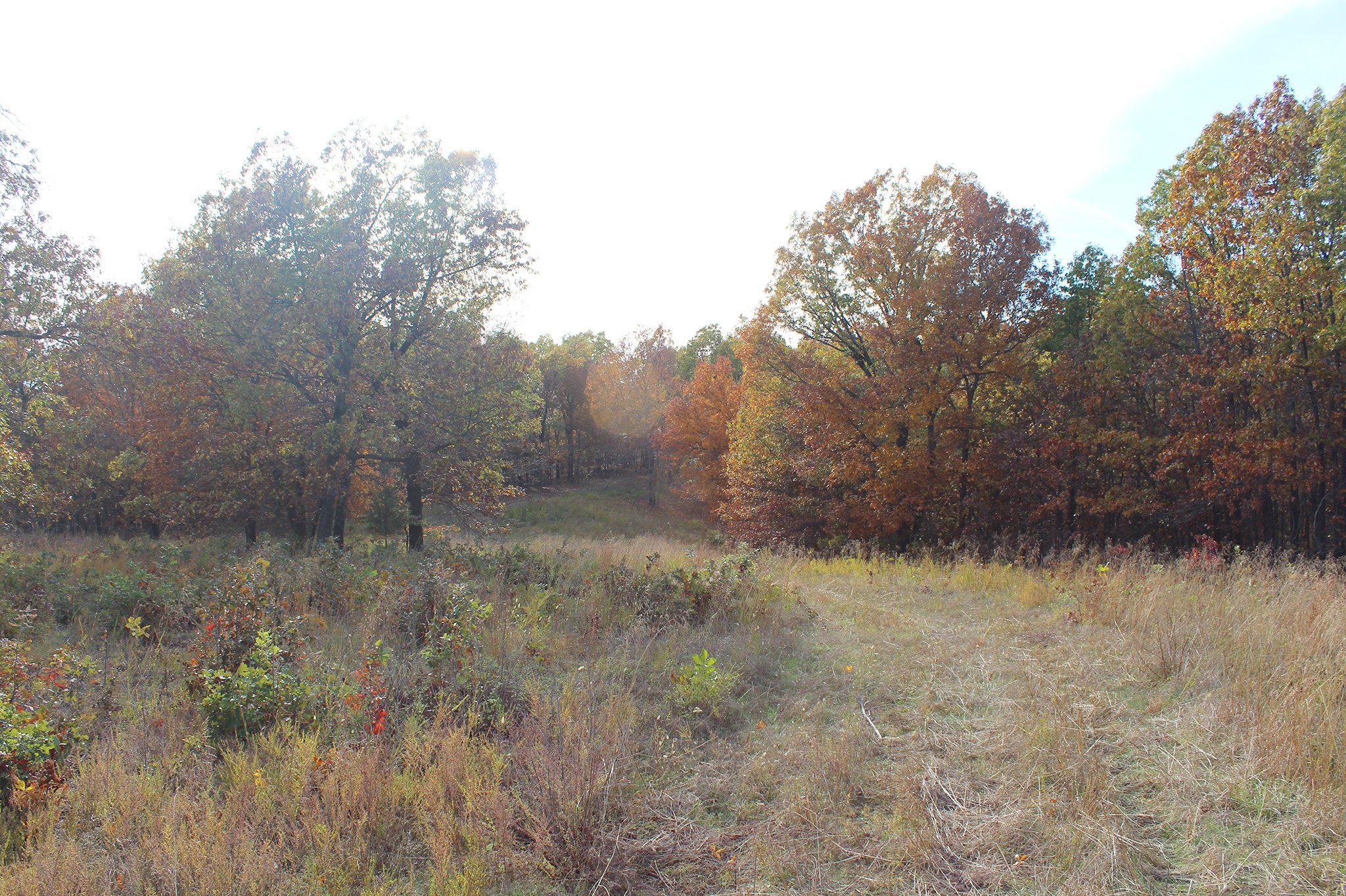 Tract 6 - OKLAHOMA LAND & REAL ESTATE AUCTION, 438 +/- Acres offered in 13 Tracts